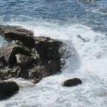 Tour_d_SoCal2_0022 (September 11, 2015)